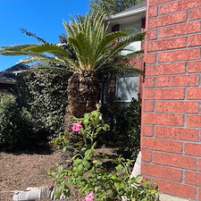 Fresh Mulch and Landscape Update in Waxahachie, TX 8