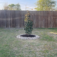 Amazing-Landscape-Flowerbed-and-Lighting-Transformation-in-Waxahachie-TX 2