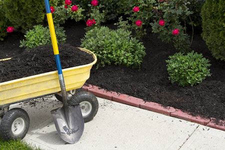 Potted Flower Arrangements